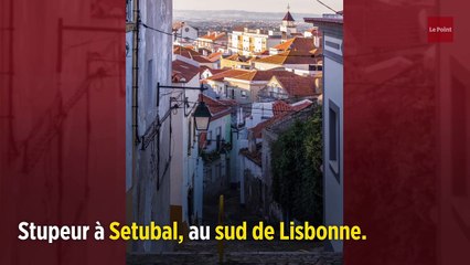 Portugal : la naissance d'un bébé sans visage met le pays en émoi