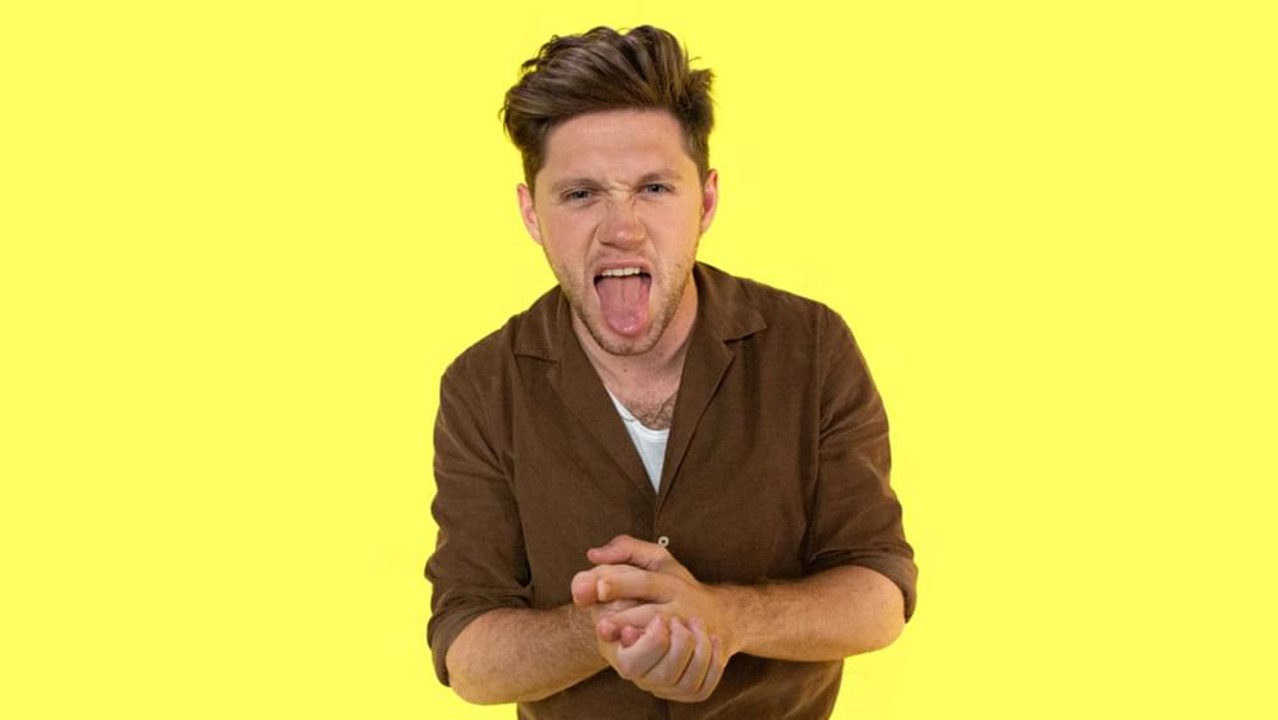 Niall Horan "Nice To Meet Ya" Official Lyrics & Meaning | Verified