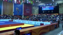 5. Dünya Wushu Şampiyonası