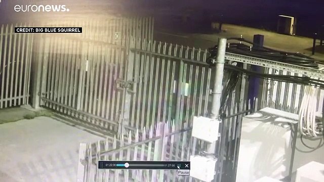 العثور على جثة 39 شخص في شاحنة بلندن والشرطة تفتح تحقيقاً