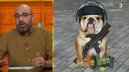 TV3 compara a los Mossos con perros y los llama “malparidos” y "analfabetos"