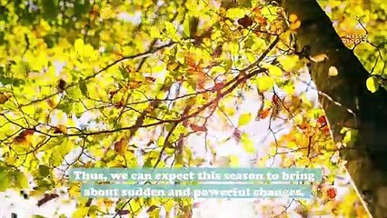 Scorpio season starts today, and there’s a good chance you’re going to find your soulmate