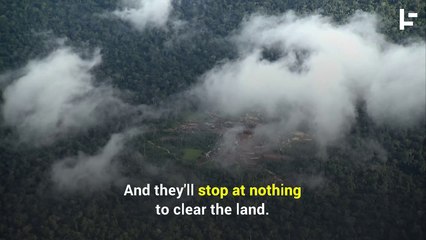 Are Criminal Networks Responsible for the Amazon Forest Fire?