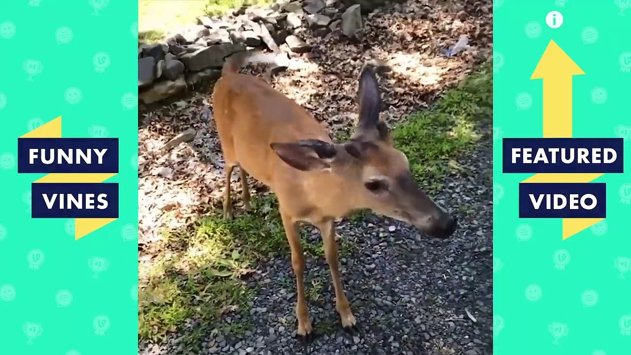 TRY NOT TO LAUGH - Cold Game Kelv "Brother Nature" | Deer Squad