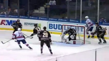 AHL Hershey Bears 1 at Rochester Americans 5