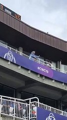 vijay mallya in london cricket stadium