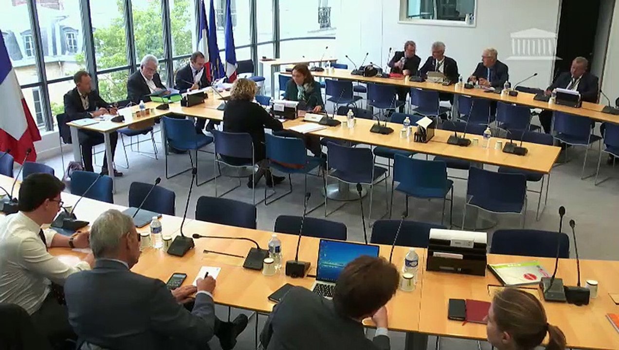 Commission des affaires européennes : Mme Amélie de Montchalin, secrétaire d’État aux affaires européennes - Mercredi 23 octobre 2019