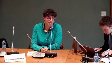 Pratiques prétendant modifier l'orientation sexuelle ou l'identité de genre d'une personne : Auditions diverses - Mardi 22 octobre 2019