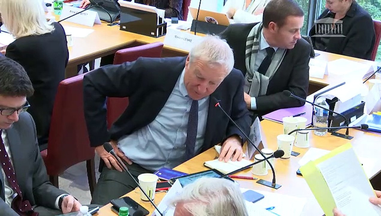 Commission des affaires étrangères : Avis budgétaires sur le projet de loi de finances pour 2020 (suite) - Mercredi 23 octobre 2019