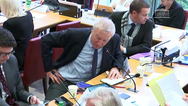 Commission des affaires étrangères : Avis budgétaires sur le projet de loi de finances pour 2020 (suite) - Mercredi 23 octobre 2019