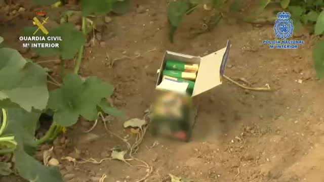 Cae una red que introducía hachís por el Guadalquivir