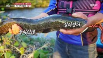 [TASTY] food that meets in remote areas 생방송 오늘저녁 20191028