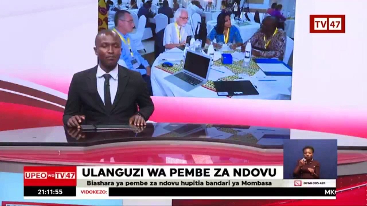 #UpeoWaTV47: Countering wildlife trafficking in Kenya