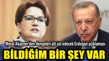 Meral Akşener’den dengeleri alt üst edecek Erdoğan açıklaması