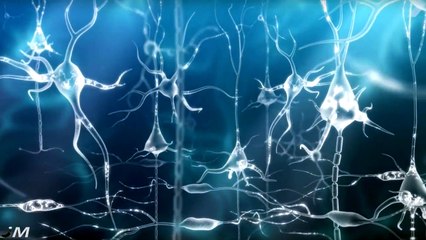 5 Misteri Che La Scienza Non Riesce A Spiegare