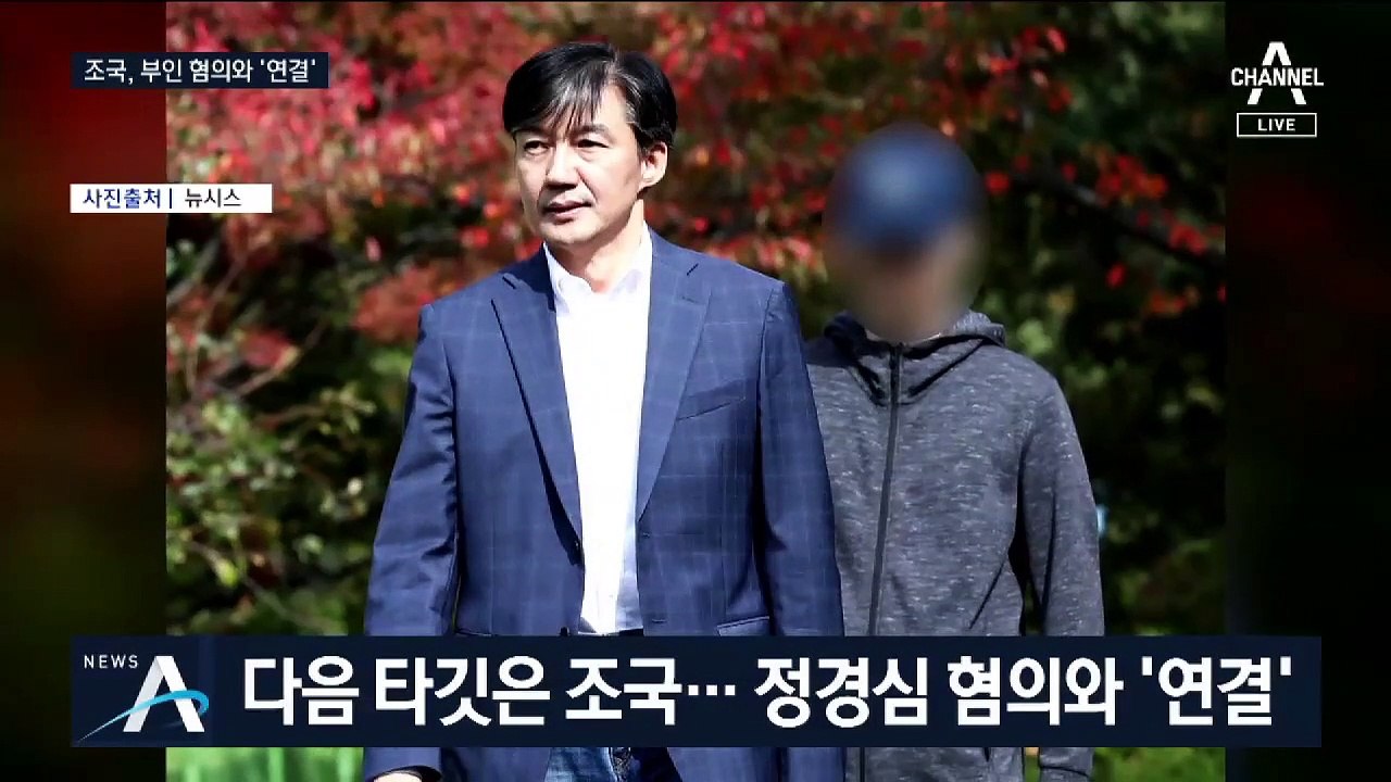 예상보다 빨랐던 정경심 구속 결정…다음은 조국