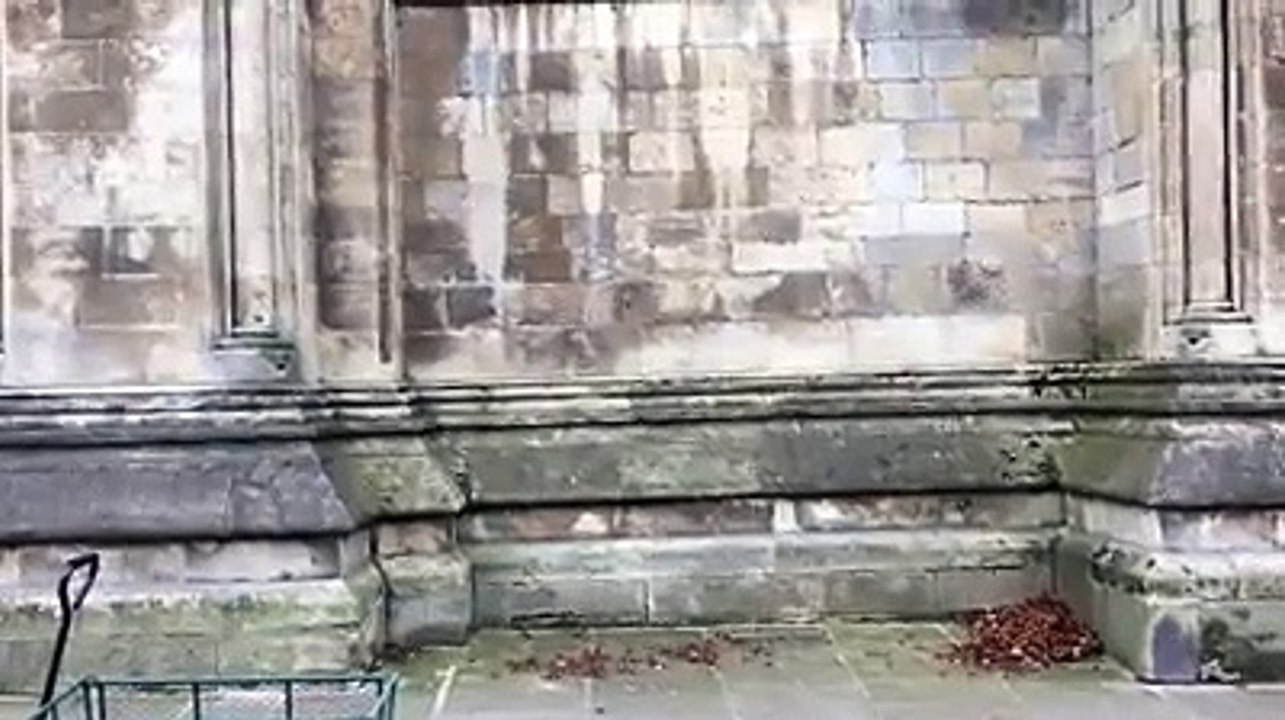 Beverley Minster vandalism