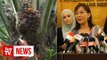 Palm oil boycott threat: Minister calls for calm ahead of Deepavali celebration