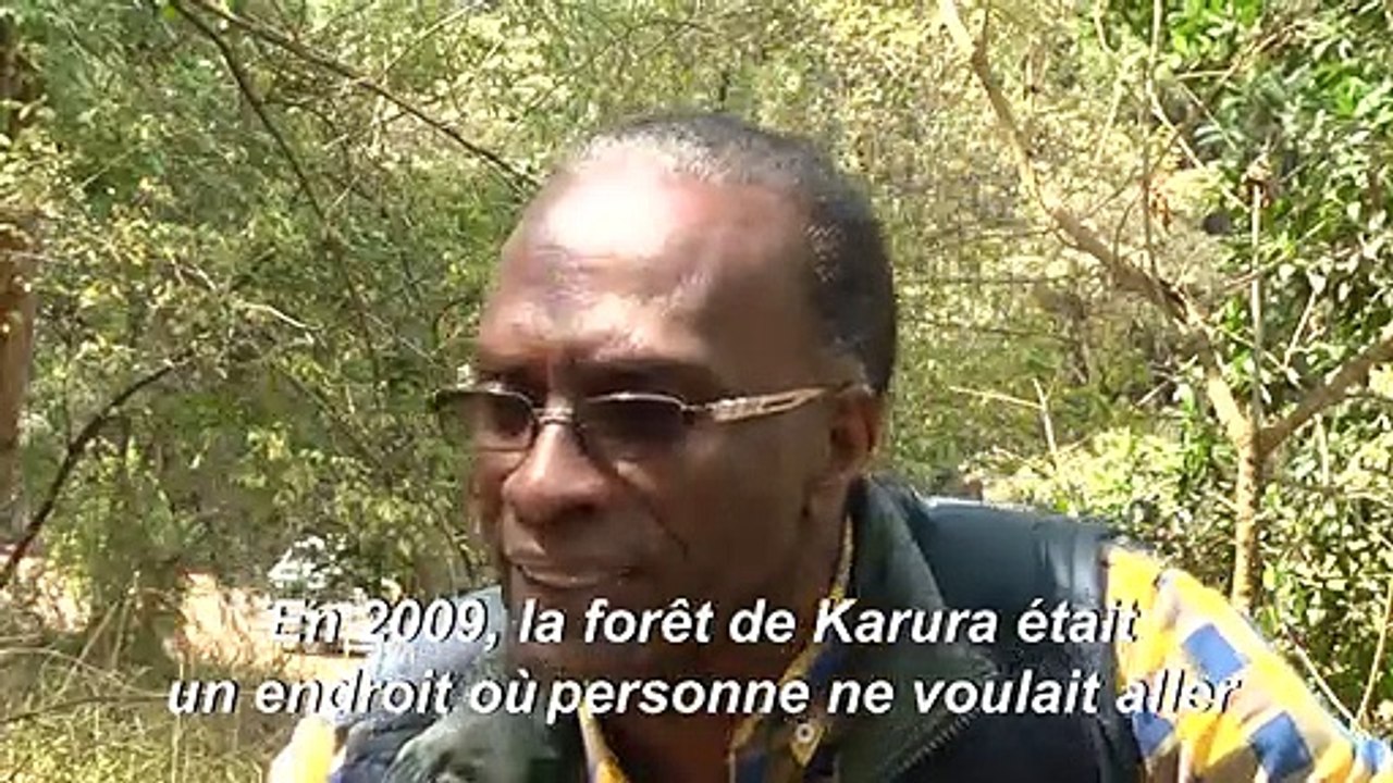 Kenya: une forêt renaît dans la capitale