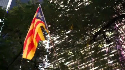 Manifestació de solidaritat amb Hong Kong a Catalunya (III)