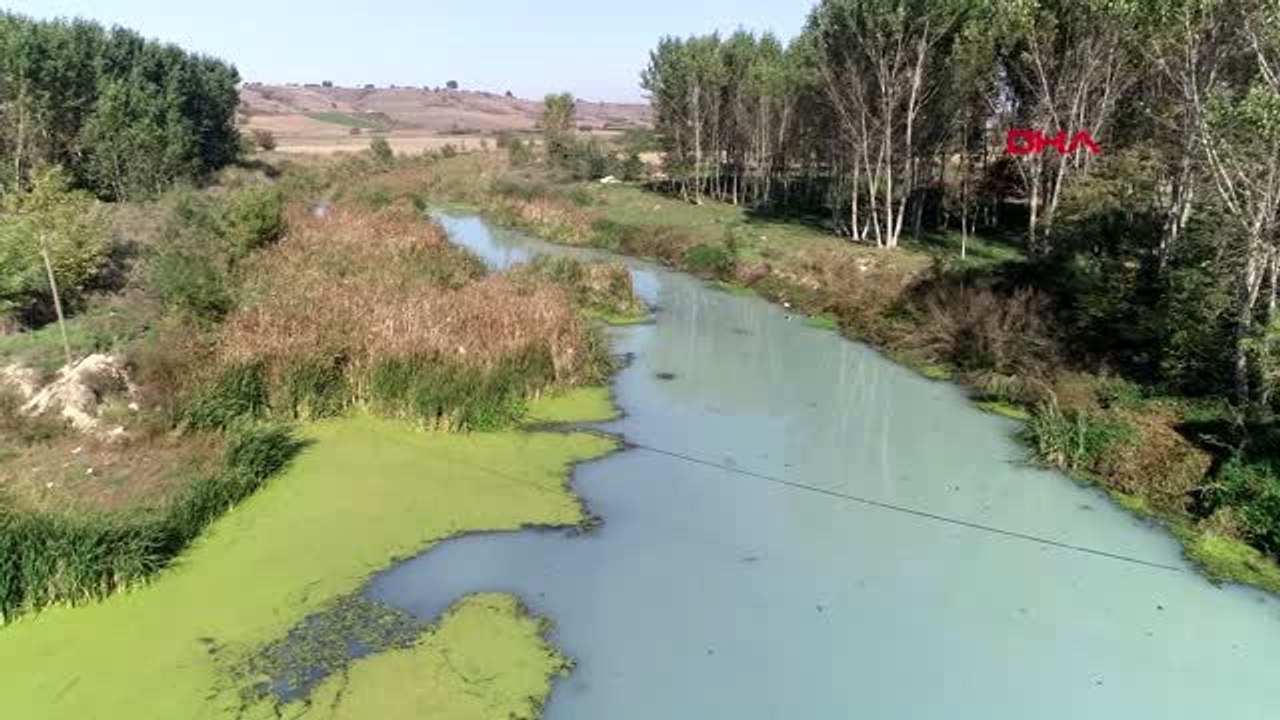 Kırklareli-teke deresi'nde kirlilik; beyaz ve gri renkte akıyor-1