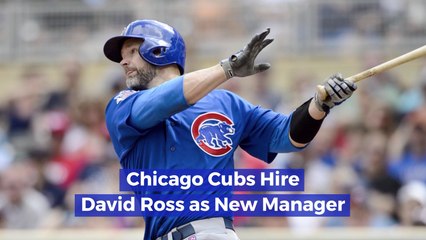 David Ross Now Works For The Chicago Cubs