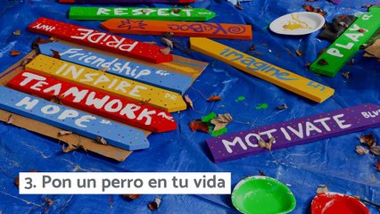 10 consejos que levantan el ánimo