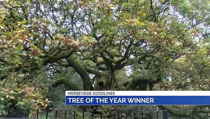 GOODLINES: 25th October 2019