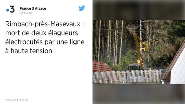 Haut-Rhin. Deux élagueurs meurent électrocutés par une ligne à haute tension