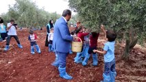 Reyhanlı'da Suriyeli yetimler için zeytin toplama şenliği