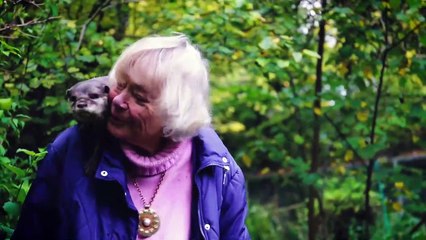 Pensioner Raises Otters!