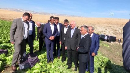 TZOB Genel Başkanı Bayraktar, Beypazarı'nda