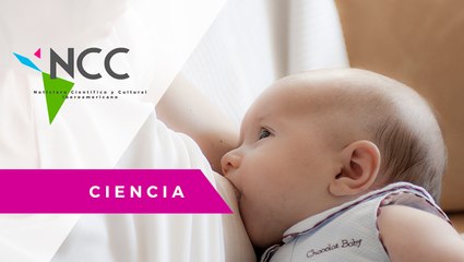 La donación de leche materna salva vidas en Ecuador