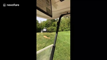 Amazing Speeding Golf Cart Crash