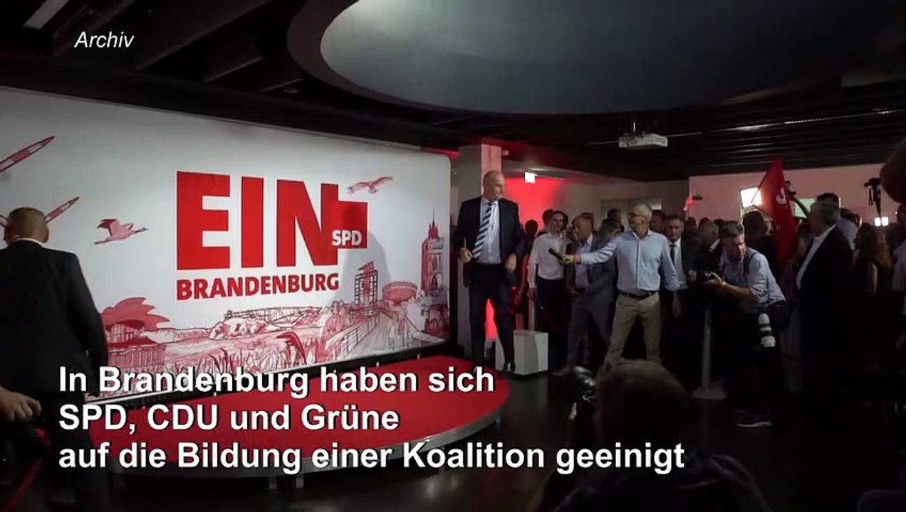 Brandenburger kenia-koalition steht