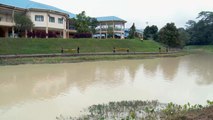 تقرير بيئي: أنهار ماليزيا خطرة وملوثة