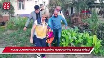 Zonguldak’ta yaşlı kadına darp iddiası