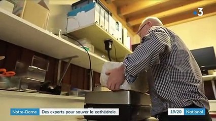 Incendie de Notre-Dame : comment les scientifiques tentent de sauver la cathédrale