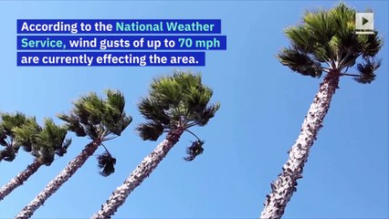 500,000 Californians in the Dark as Fires Rage Nearby