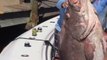 Ces pêcheurs ont attrapé un mérou géant de plus de 2m50