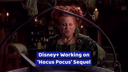 Disney Plus Hints At New 'Hocus Pocus'