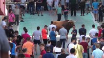 La Vall d´Uixó (Castellón) - Toros en el Santísimo Cristo Carbonaire (Parte 1/3)