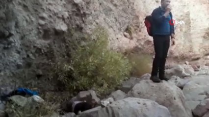 Eşeğiyle uçurumdan düşen çoban, hayatını kaybetti