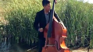 Wake Me Up - Avicii (violin-cello-bass cover) - Simply Three_low