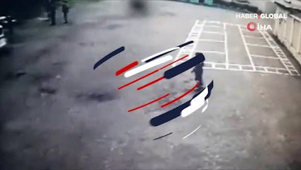 Uyuşturucu kuryesi kedi böyle yakalandı