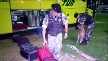 Pelotão de Choque apreende vários tabletes de maconha em abordagem a ônibus