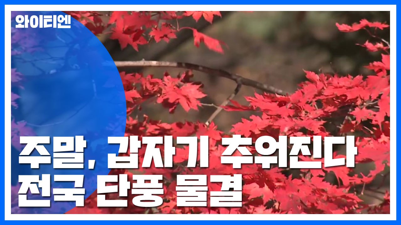 [날씨] 주말, 갑자기 추워진다...전국 단풍 물결 / YTN