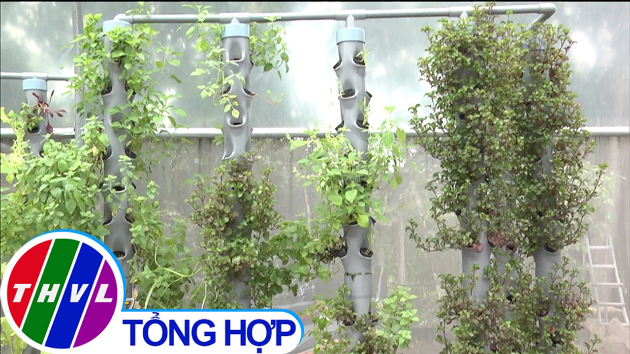 Máy trồng rau sạch tự động, giải pháp sống xanh cho đô thị