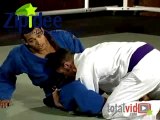 Advanced Brazilian Jiu-Jitsu with Gustavo Dantas - ...