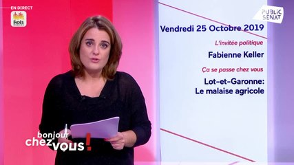 Fabienne Keller - Public SÃÂ©nat vendredi 25 octobre 2019